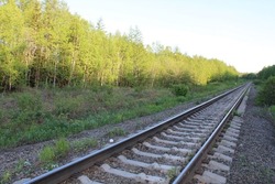 Как в «Анне Карениной»: женщину нашли мертвой у железнодорожного переезда на Сахалине