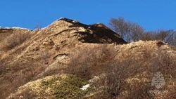 Детская шалость стала причиной пожара в Невельске