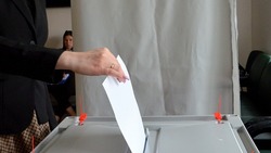 Общественники из Углегорска рассказали о подготовке к Единому дню голосования