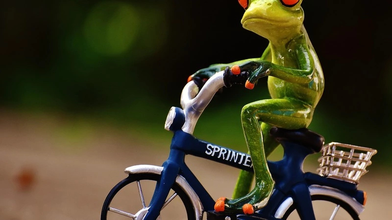 Сахалинцев зовут на закрытие сезона маунтинбайка и осенние состязания