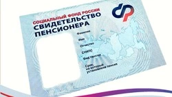 На Сахалине и Курилах статус пенсионера получили больше 4,5 тысячи жителей