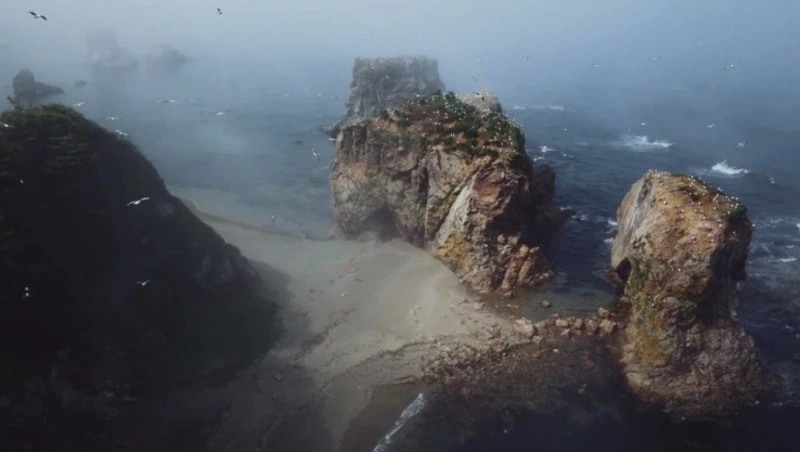 Блогер с Сахалина опубликовал видео мыса Птичьего с высоты полета дрона