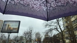 Погода на Сахалине и Курилах в июне 2025: подробный прогноз с осадками и температурой