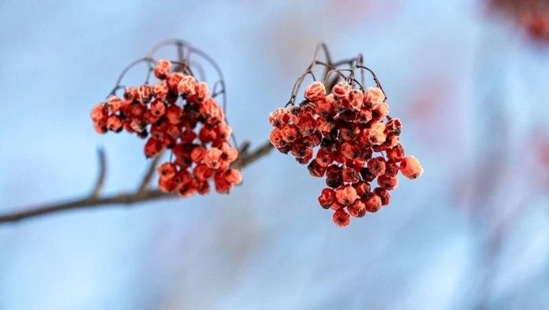 Контрасты температур и усиление ветра ждут жителей Сахалина и Курил 10 марта