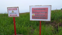 В Сахалинской области принимают меры по борьбе с птичьим гриппом