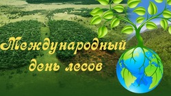 Международный день лесов 2025: яркие и оригинальные картинки