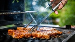 Как пожарить шашлык без штрафных санкций в 2023 году: памятка для жителей Сахалина
