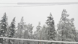 Мокрый снег и ветер повредили линии электропередачи в центре Сахалина