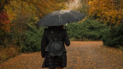 Погода в Южно-Сахалинске 16 октября: +17 и умеренный дождь
