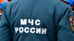 МЧС внепланово проверит газонакопительные станции после инцидентов с бытовым газом