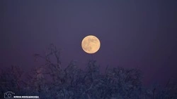 Волчья луна взошла над Сахалином