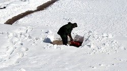 Губернатор раскритиковал качество уборки снега после циклона на юге Сахалина