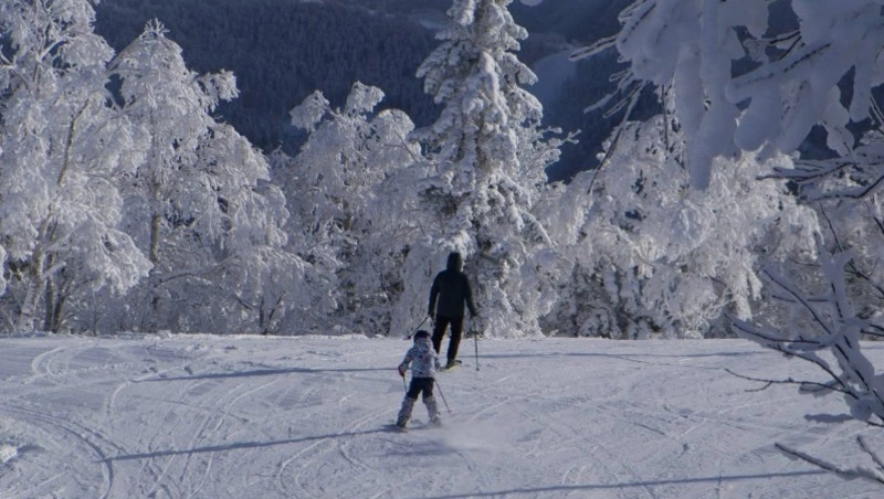 «Горный воздух» перенес праздник в честь открытия сезона на 31 декабря