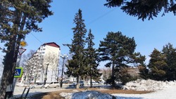 В Южно-Сахалинске ожидают умеренный юго-восточный ветер 12 апреля 