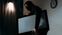 Житель Охи украл дорогостоящий телевизор у своей сожительницы 