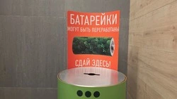 Батарейки травят почву: сахалинцев призвали ответственно подходить к утилизации отходов 