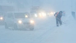 Снег на протяжении всего дня спрогнозировали в Южно-Сахалинске 29 ноября