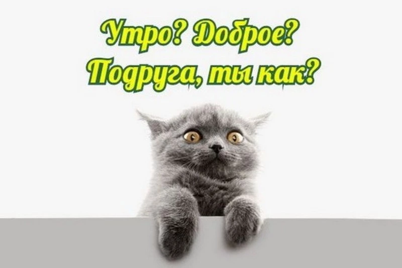 Красивые, прикольные, оригинальные открытки с добрым утром — скачать бесплатно