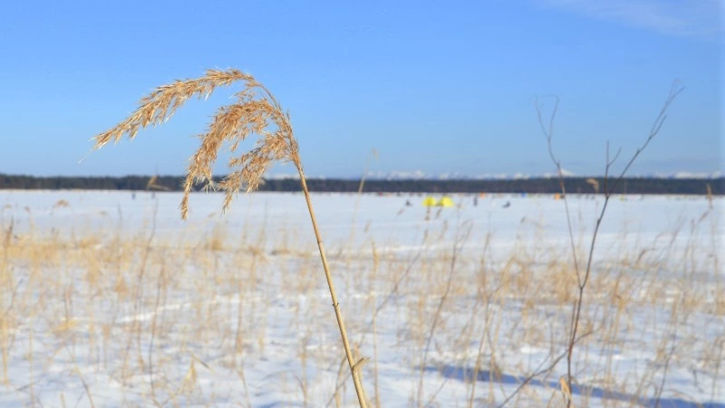 Рыбаков Сахалина предупредили о неустойчивом массиве в заливе Мордвинова 25 января