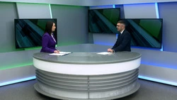 Если встретили медведя: жителям Сахалина напомнили правила безопасности в лесу