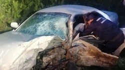 Новые кадры с места смертельного ДТП в Тымовском районе: работали спасатели