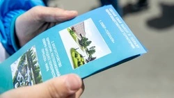 Главное — помочь: как волонтеры помогают сахалинцам голосовать за комфортную среду