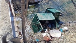 «Сброшены в реку»: неизвестный утопил мусорные баки и раскидал отходы в Долинске