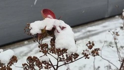 Снег на Сахалине и сильные осадки на Курилах: прогноз погоды на 8 декабря