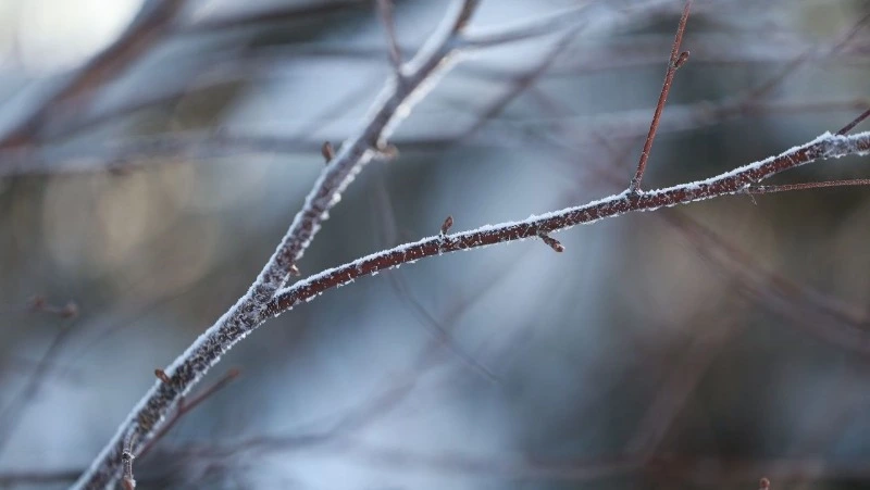 Первые дни февраля принесут циклон на Сахалин и Курилы