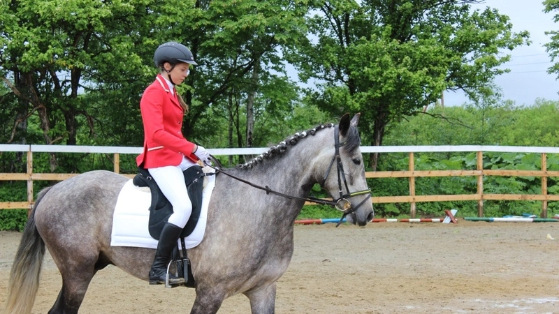 На Сахалине прошел первый чемпионат области по выездке