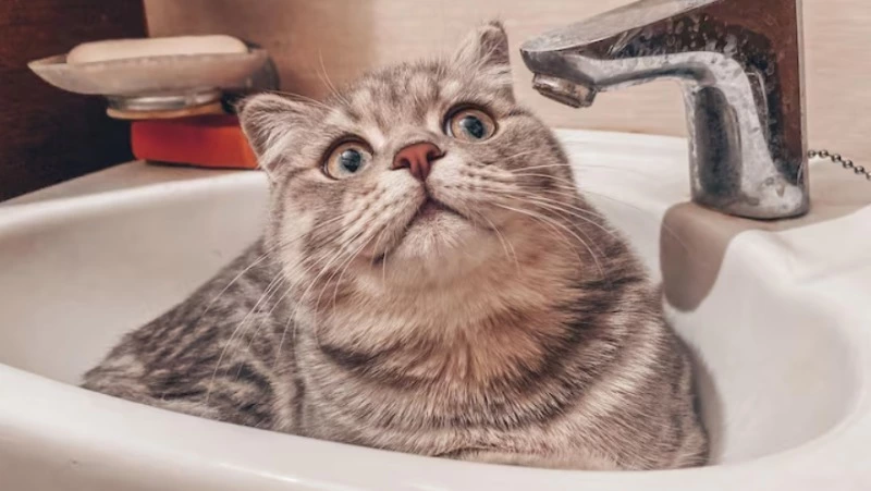 Часть Южно-Сахалинска осталась без холодной воды на пять часов 17 сентября