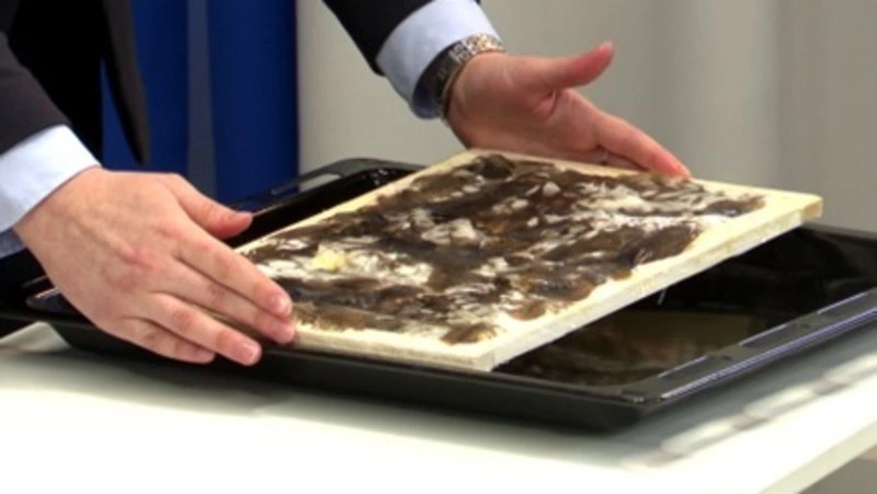 Школьники с Сахалина разработали устройство по очистке воды от нефти