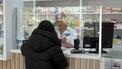 Лекарственные растения высадят возле аптеки № 107 в Южно-Сахалинске в 2024 году