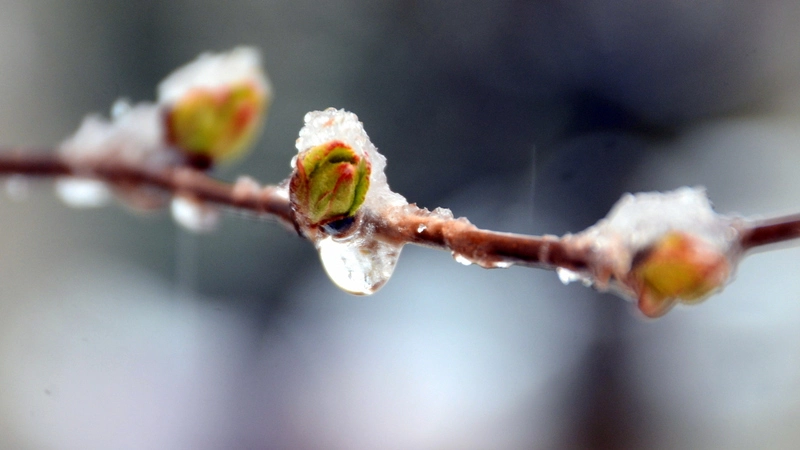 Циклон превратил Южно-Сахалинск в мокрый сугроб (ФОТО)