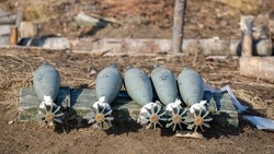 ВС РФ освободили Новоалександровку в Днепропетровской области