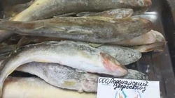 Жителям девяти районов Сахалинской области привезли навагу по доступной цене  