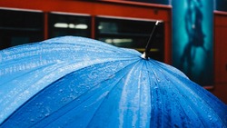 Прогноз погоды на Сахалине и Курилах на 30 сентября: дождь