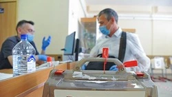 «Конфликтов не было»: эксперт оценил прозрачность выборов на Сахалине