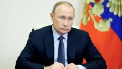 Порядка 80% россиян доверяют Владимиру Путину