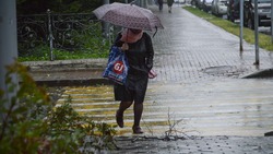 Сахалин затопит дождями из-за тайфуна «Бави»