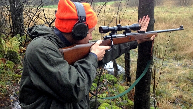 Лимаренко рассказал о сроках начала охоты на Сахалине