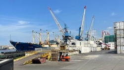 Россельхознадзор: за неделю из портов Сахалина и Приморья экспортировано более 17 тысяч тонн рыбы