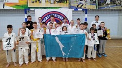  Сахалинские каратисты получили 19 наград на соревнованиях по киокушин в Хабаровске