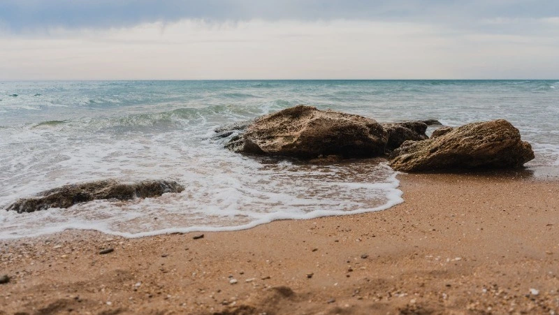 Красота, таящая опасность