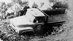 Фотолента: Филлис на юге Сахалина