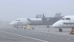 Утренний туман вынудил ввести процедуру ограниченной видимости в аэропорту Южно-Сахалинска