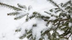 Снег и похолодание ждут сахалинцев на выходных
