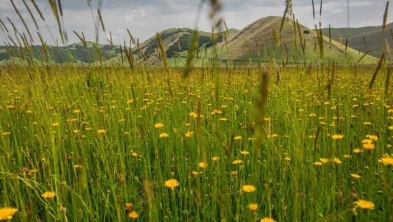 Церковный праздник 15 июня 2023: что нельзя делать в этот день, приметы