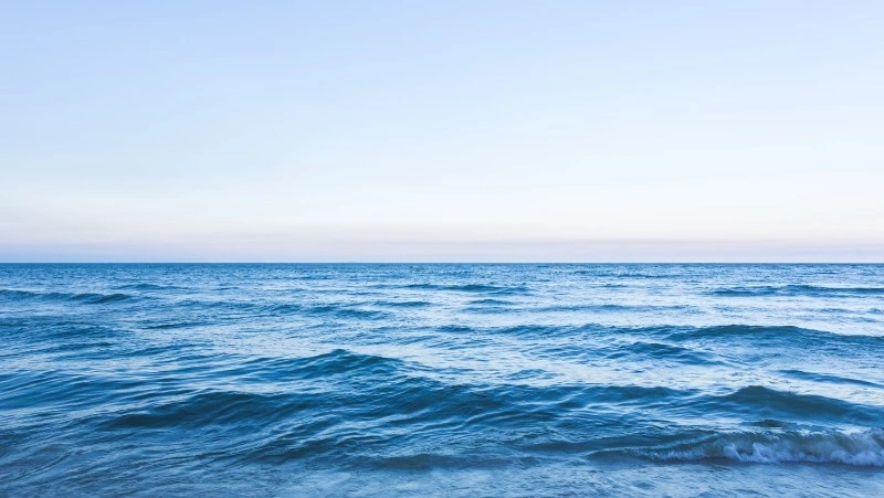 Фирма из Южно-Сахалинска выиграла аукцион на участок под мариферму в заливе Анива 