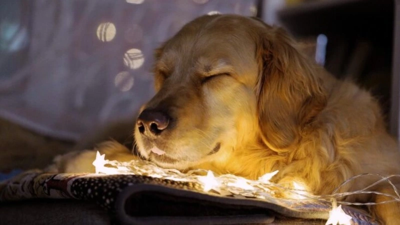 Планировочный район и семь улиц Южно-Сахалинска проведут 23 октября без света